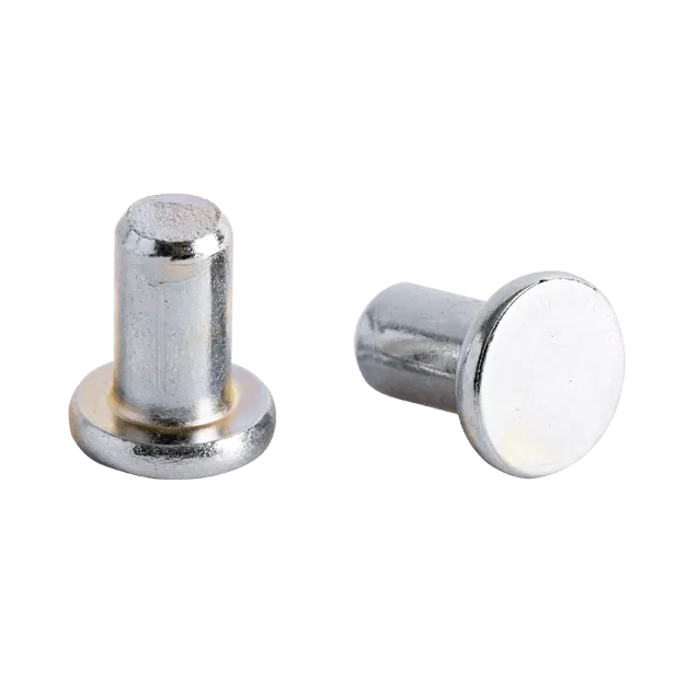 RIVETS